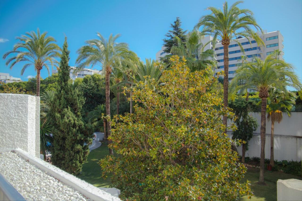 Appartement In 200m To The ! *